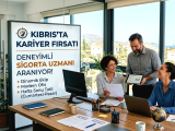 Sigorta Sektöründe Tecrübeli Takım Arkadaşı